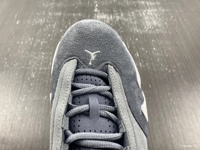 Rep MAX Jordan Grey Air 14 FJ3460-012 Flint 0812